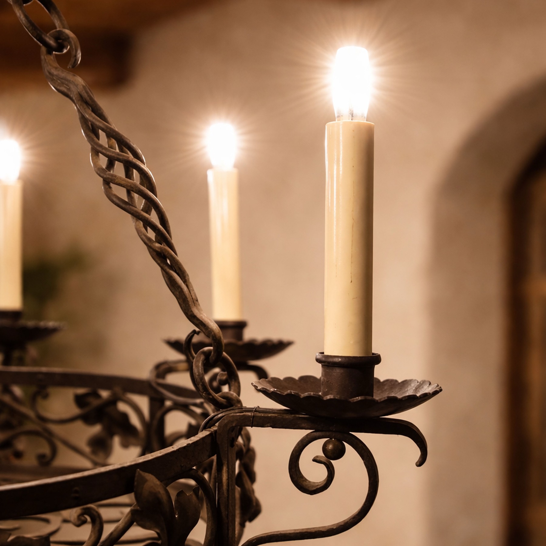 Wrought Iron Grapevine Ring Chandelier — view 5